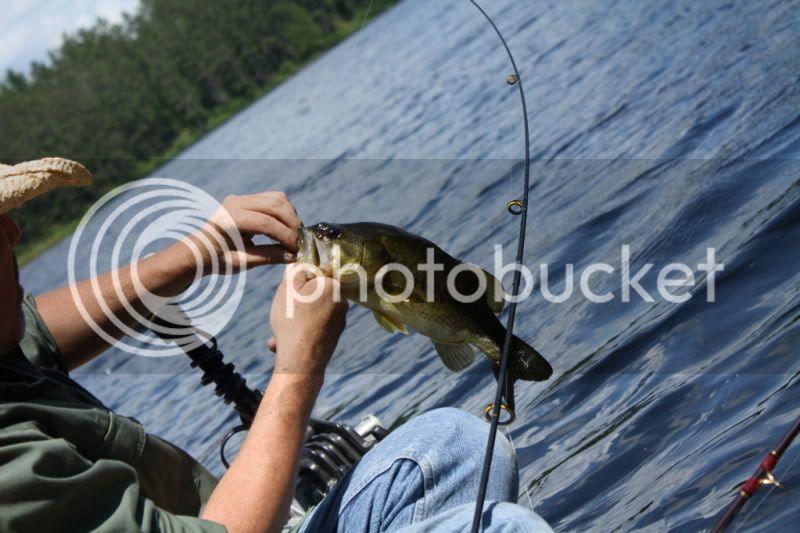 IMG_3458.jpg