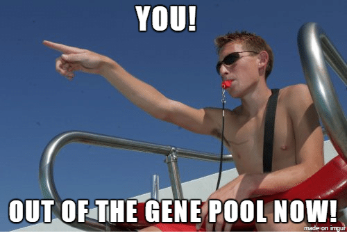 you-out-of-the-gene-pool-now-made-on-19317793.png