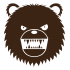 www.dangerrangerbear.com