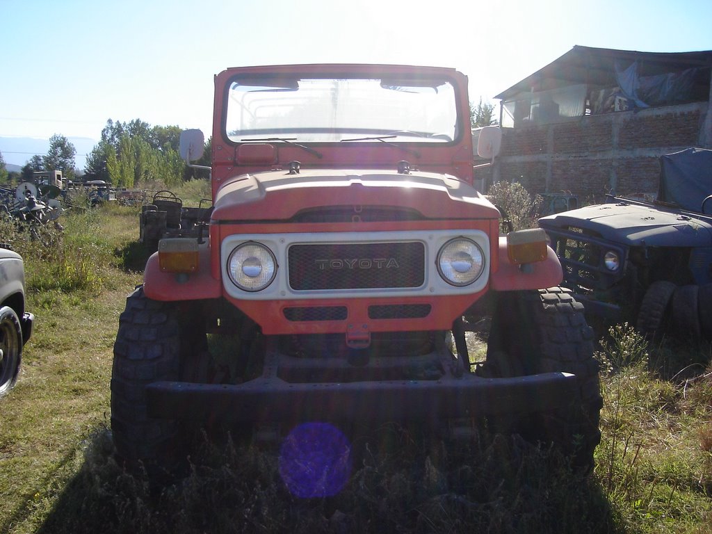 DSC01706.jpg