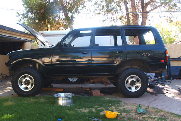 320995573_zahnX-M.jpg