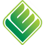 evdrive.com