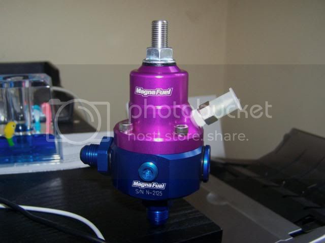 100_3099.jpg