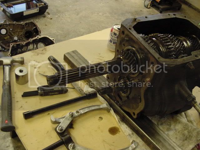 DSC00037.jpg
