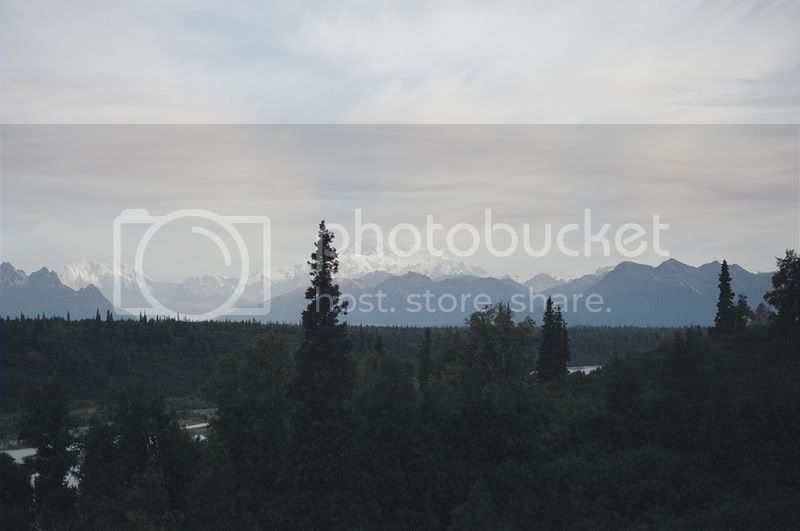 44640010.jpg