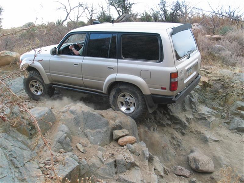 50663350-L.jpg
