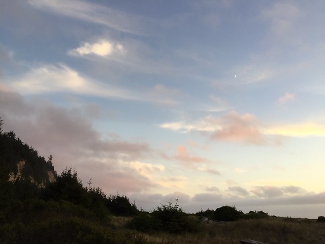 29675035596_ecd63ca588_z.jpg