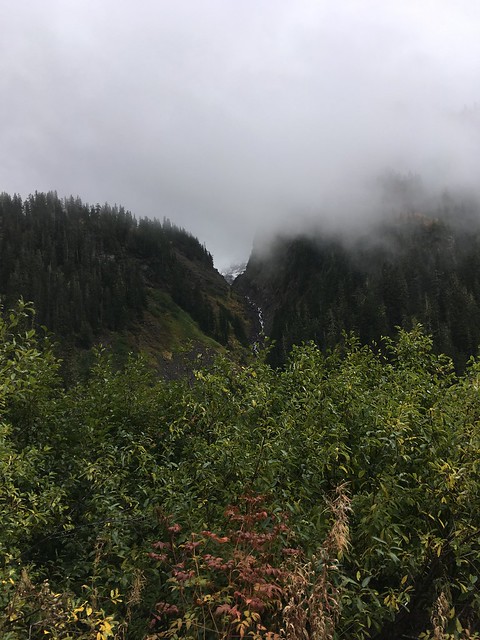 37587065231_6815d2f9d5_z.jpg