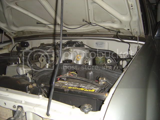 DSC05066.jpg