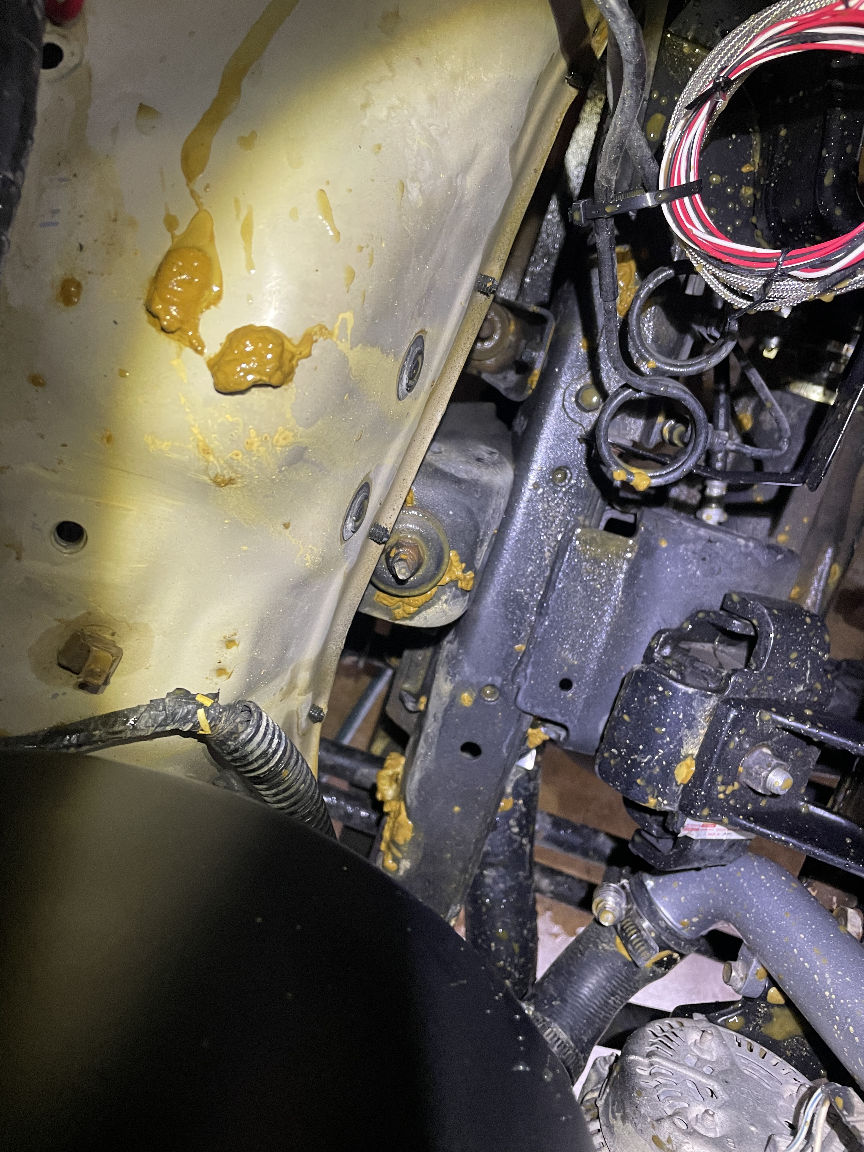 C5159-BD6-F023-4812-9-A65-D608-AC589-A1-E.jpg