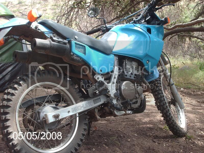 PICT1736.jpg