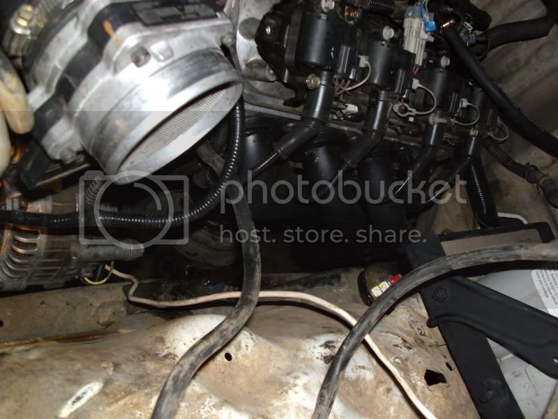 PICT0019-1.jpg