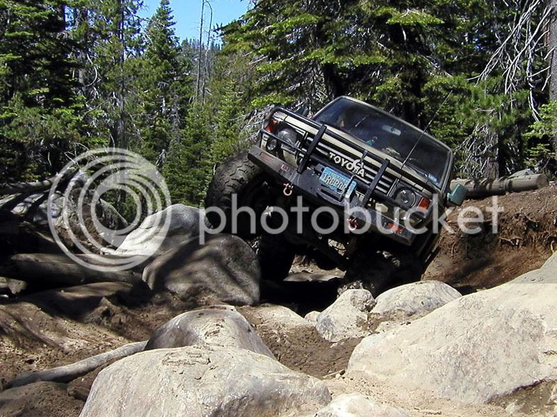 rubi_wagon2.jpg