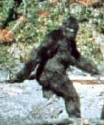 bigfoot_002.jpg