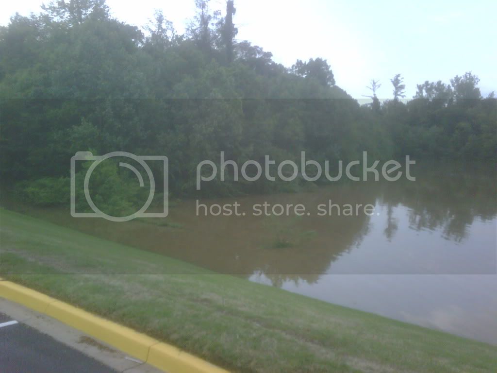 IMG00055-20100502-1808.jpg