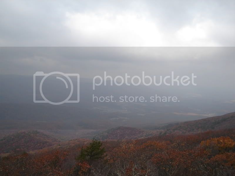 DSC01577.jpg