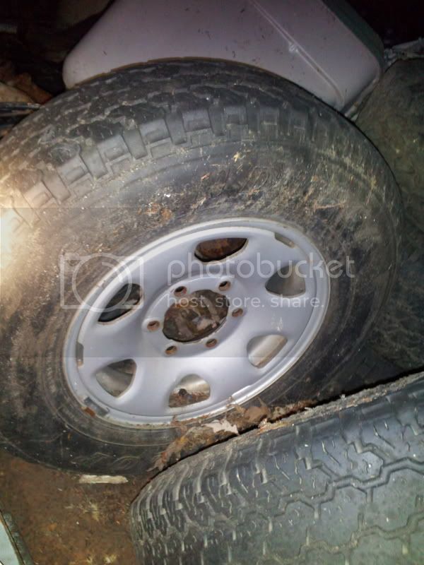 2011-12-16170200.jpg