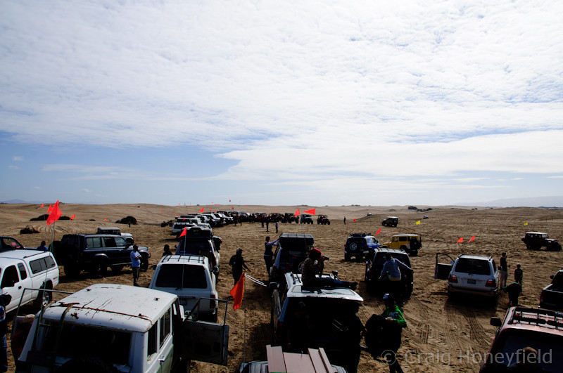 DSC4101-L.jpg