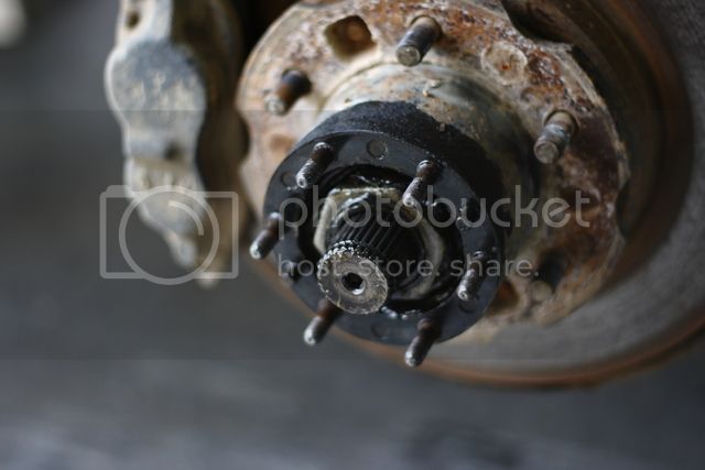 IMG_7888_zps9jn05zuf.jpg