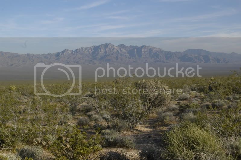 DSC_0426.jpg