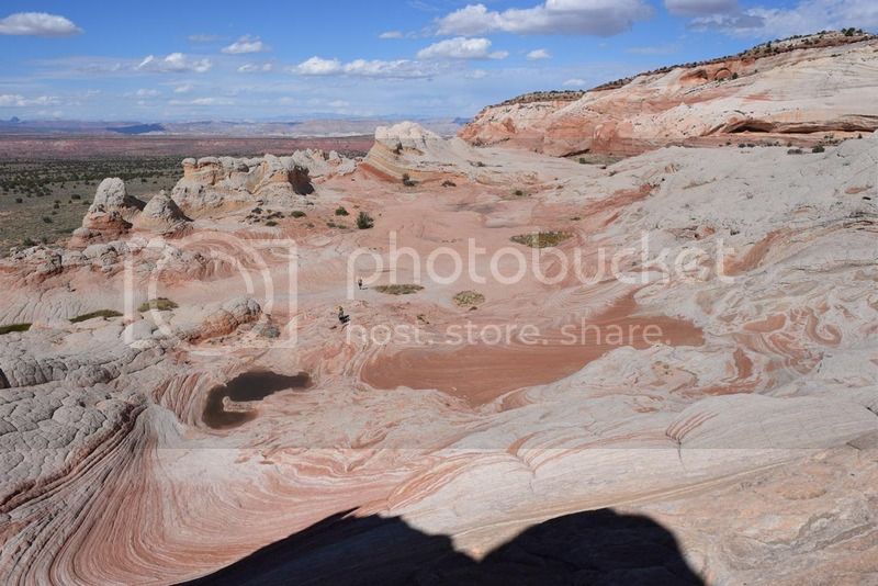 DSC_0211.jpg
