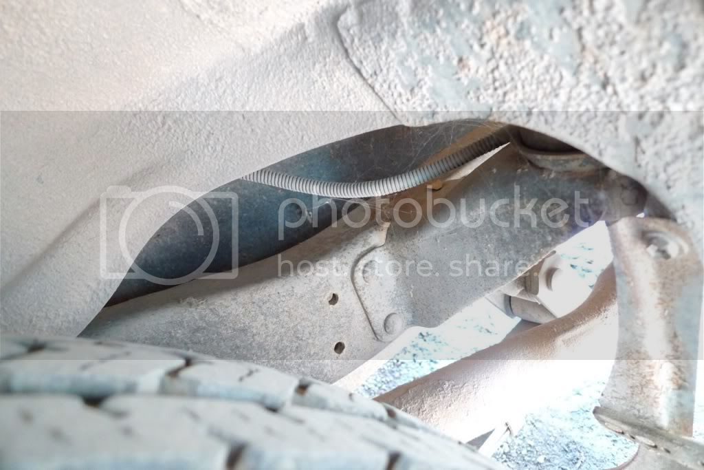 LastImport-17.jpg