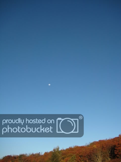 October07094.jpg