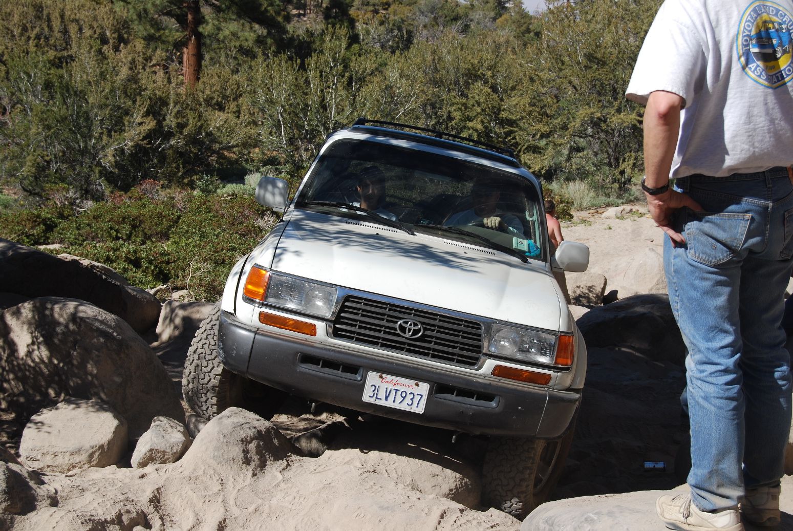 BigBear739.jpg