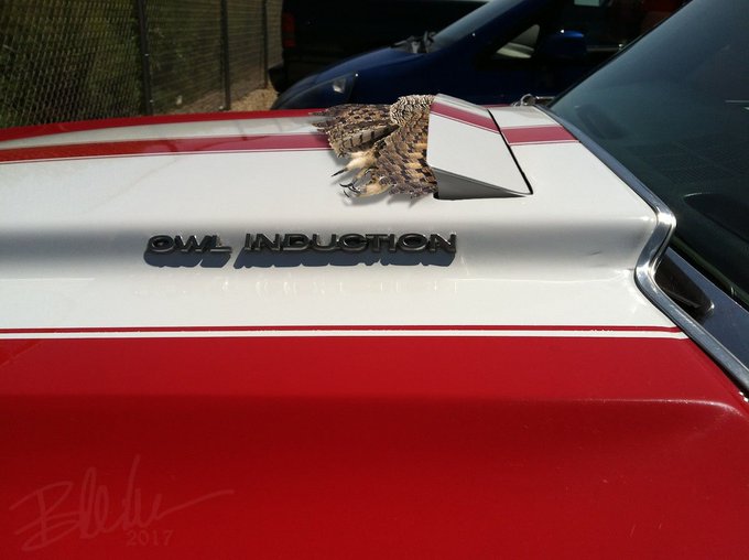 C4Veu43WcAMZh5L.jpg:small