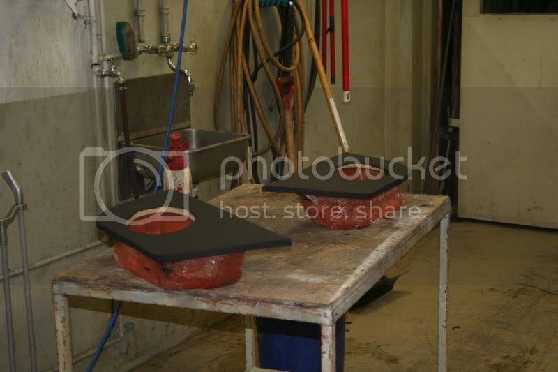 IMG_2405.jpg