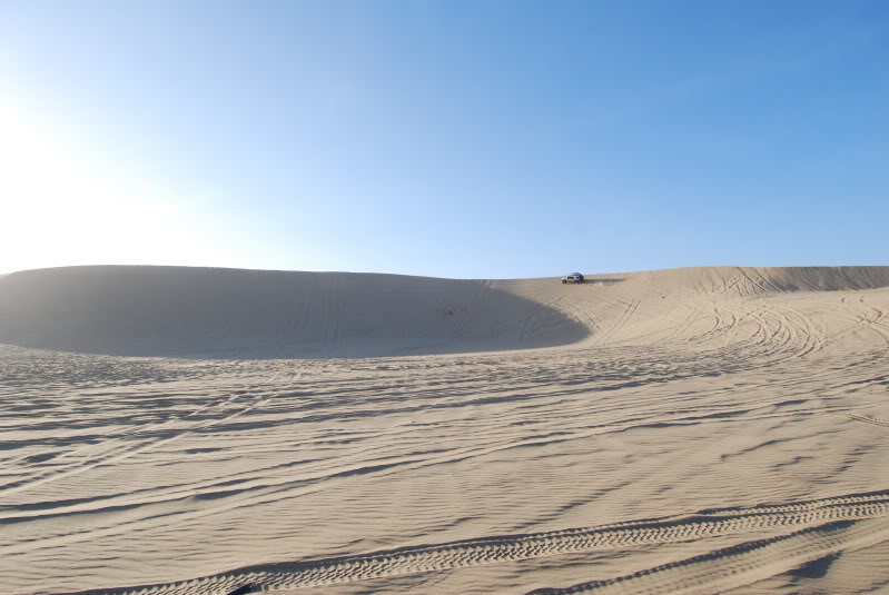 DSC_0263.jpg