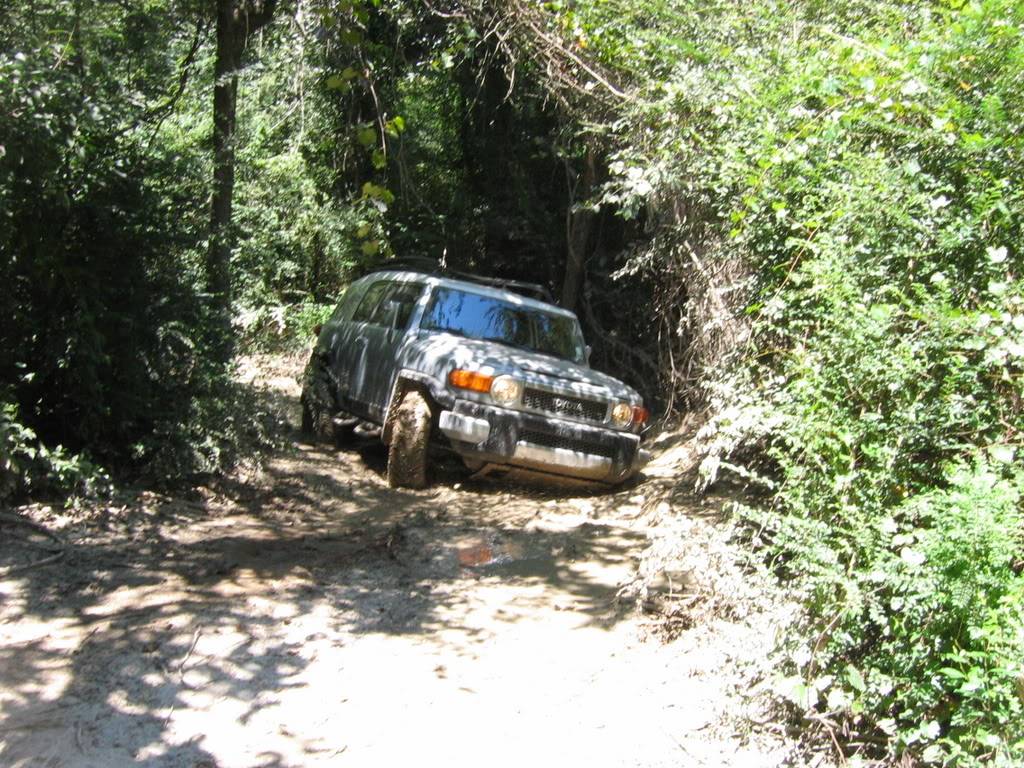 IMG_3848.jpg