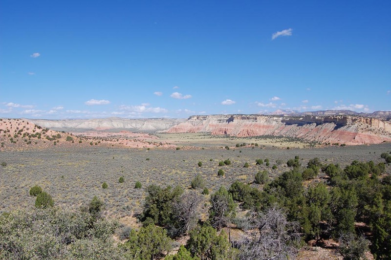 DSC_7753.jpg