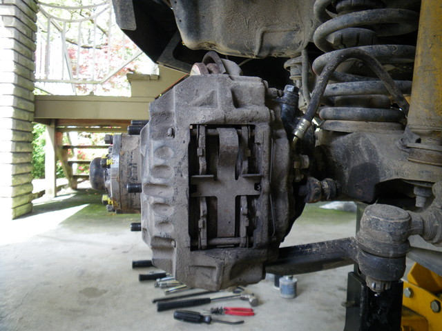 IMGP1377.jpg