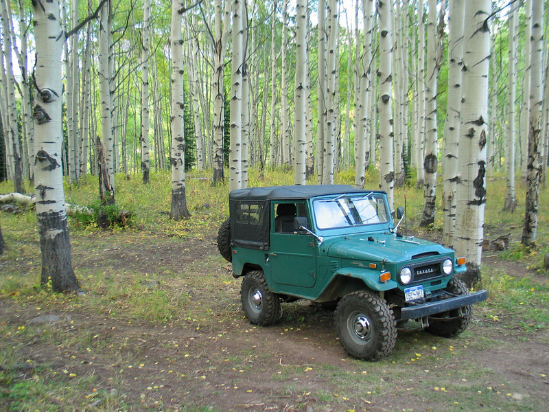 383390334_ssJbF-L.jpg