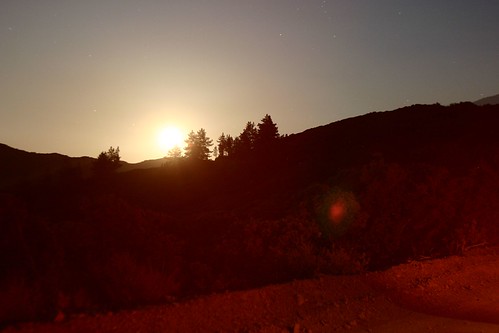 3521978263_ec046cdffe.jpg