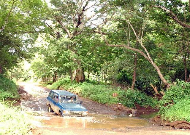 Sandcruiser - Louie 6.jpg