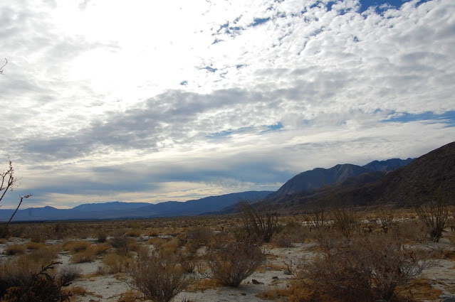 DSC_3545.jpg