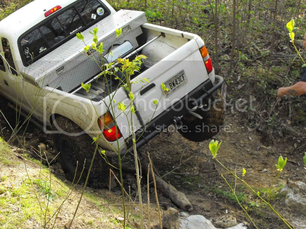 longlookII100.jpg