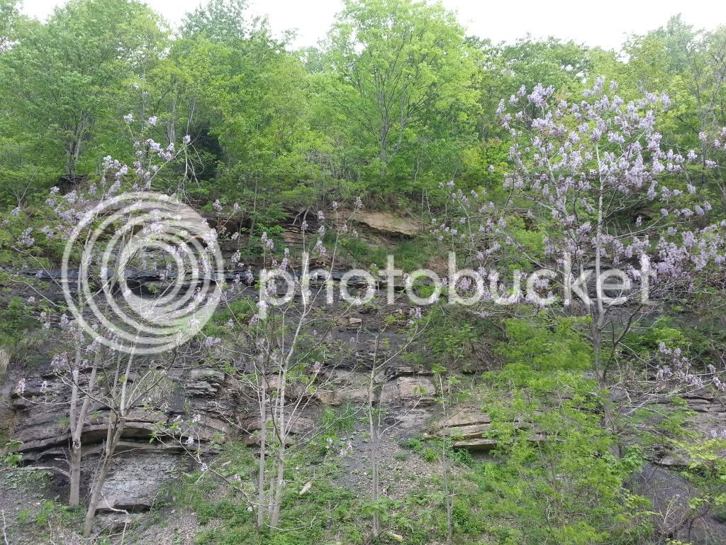 20130517_121453_zps0c216837.jpg