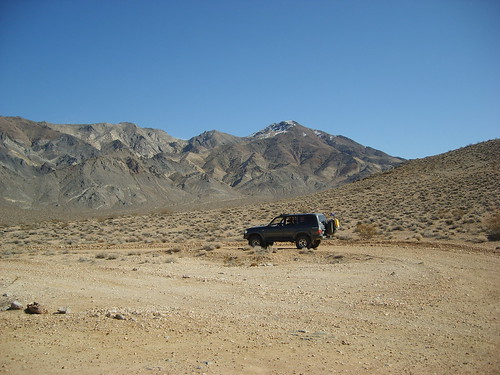 4472948090_118d43f827.jpg