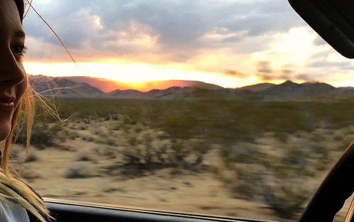 28125970343_f5cb7994ea.jpg