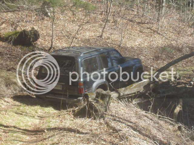 March06126.jpg