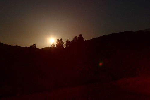 3521978333_f798ba24d2.jpg