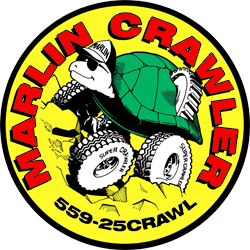 turtle.png