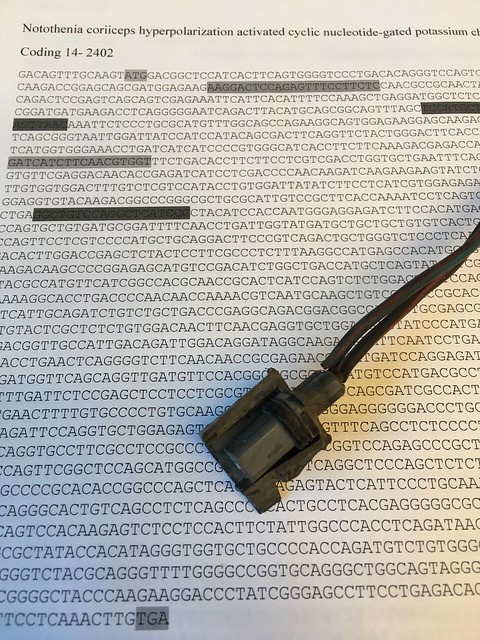 32339561317_d66524c9a0_z.jpg