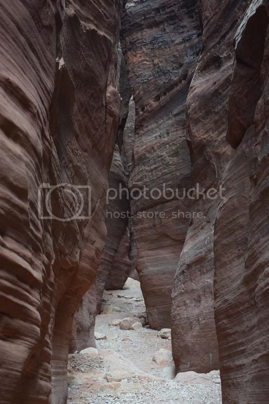 DSC_0316.jpg
