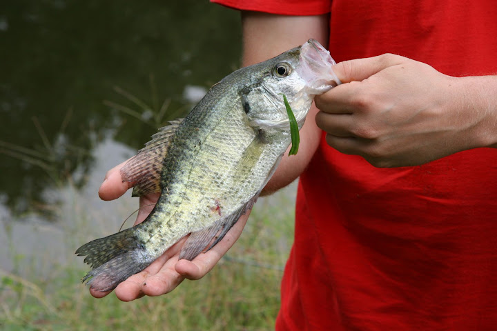 Fishing%202009%20089.jpg