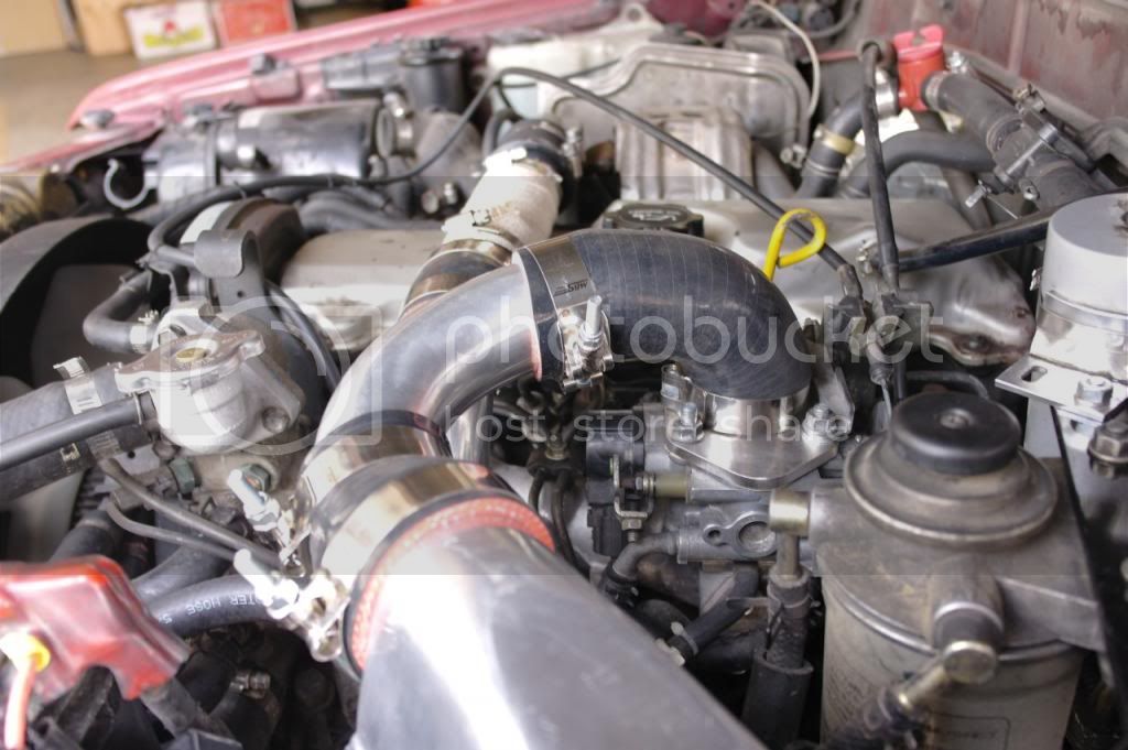 SAM_0095_zpsb110daef.jpg