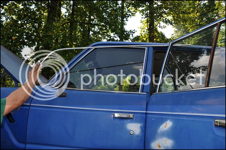 DSC_0239.jpg
